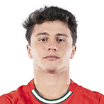 Joao Neves Pelipaita